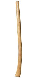 Medium Size Natural Finish Didgeridoo (TW1197)